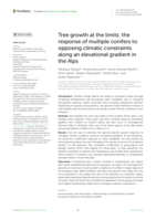 Tree growth at the limits: the response of multiple conifers to opposing climatic constraints along an elevational gradient in the Alps