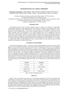 Micromechanics of cardiac spheroids