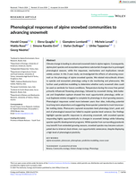 Phenological responses of alpine snowbed communities to advancing snowmelt