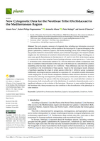 New Cytogenetic Data for the Neottieae Tribe (Orchidaceae) in the Mediterranean Region