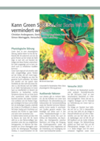 Kann Green Spot bei der Sorte WA 38 vermindert werden?