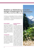 Reiskleie zur Bekämpfung von bodenbürtigen Schaderregern im Erdbeeranbau