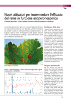 Nuovi attivatori per incrementare l'efficacia del rame in funzione antiperonosporica