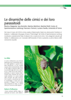 Le dinamiche delle cimici e dei loro parassitoidi
