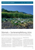 Silomais – Sortenempfehlung 2024