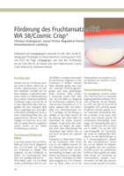 Förderung des Fruchtansatzes bei WA38/Cosmic Crisp