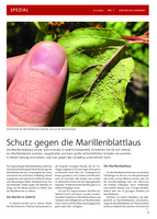 Schutz gegen die Marillenblattlaus