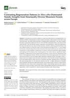 Contrasting Regeneration Patterns in Abies alba-Dominated Stands: Insights from Structurally Diverse Mountain Forests across Europe