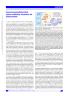 Hyperoxia-enhanced intermittent hypoxia conditioning: mechanisms and potential benefits