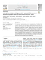 Reducing hydrological modelling uncertainty by using MODIS snow cover data and a topography-based distribution function snowmelt model