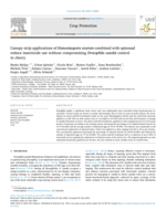 Canopy strip applications of Hanseniaspora uvarum combined with spinosad reduce insecticide use without compromising Drosophila suzukii control in cherry