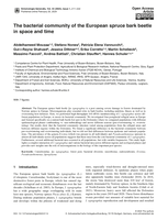 The bacterial community of the European spruce bark beetle in space and time
