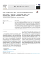 Parkin R274W mutation affects muscle and mitochondrial physiology