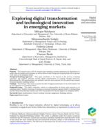 Exploring digital transformation and technological innovation in emerging markets