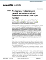 Nuclear and mitochondrial genetic variants associated with mitochondrial DNA copy number