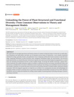 Unleashing the Power of Plant Structural and Functional Diversity: From Common Observations to Theory and Management Models