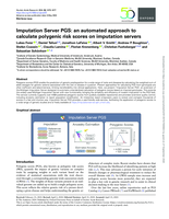Imputation Server PGS: an automated approach to calculate polygenic risk scores on imputation servers