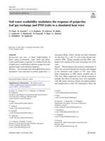 Soil water availability modulates the response of grapevine leaf gas exchange and PSII traits to a simulated heat wave
