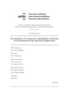 Development of a sensor for nanoplastics detection in environmental and agri-food applications