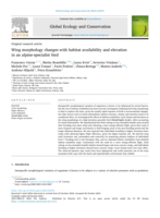 Wing morphology changes with habitat availability and elevation in an alpine-specialist bird