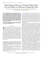 Meteorological drivers of vineyard water vapour loss and water use efficiency during dry days