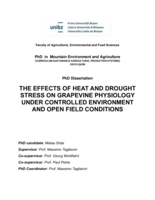 The effects of heat and drought stress on grapevine physiology under controlled environment and open field conditions
