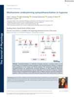 Mechanisms underpinning sympathoexcitation in hypoxia