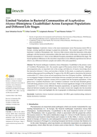Limited Variation in Bacterial Communities of Scaphoideus titanus (Hemiptera: Cicadellidae) Across European Populations and Different Life Stages
