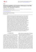 Marketing Capabilities and Competitive Performance in the SMEs Context: A Bi-Theoretical Perspective