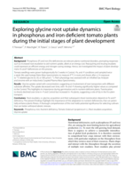 Exploring glycine root uptake dynamics in phosphorus and iron deficient tomato plants during the initial stages of plant development