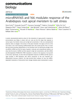 microRNA165 and 166 modulate response of the Arabidopsis root apical meristem to salt stress.