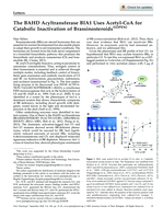 The BAHD Acyltransferase BIA1 Uses Acetyl-CoA for Catabolic Inactivation of Brassinosteroids