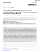 Spatially Varying Wolbachia Frequencies Reveal the Invasion Origin of an Agricultural Pest Recently Introduced From Europe to North America