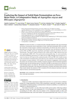 Exploring the Impact of Solid-State Fermentation on Fava Bean Flour: A Comparative Study of Aspergillus oryzae and Rhizopus oligosporus