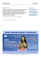 Biomass combined heat and power for renewable power provision in mountain environments: techno-economic assessment of cost factors and competitiveness under current and projected energy market conditions