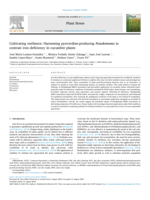 Cultivating resilience: Harnessing pyoverdine-producing Pseudomonas to contrast iron deficiency in cucumber plants