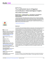 The multifaceted nature of Egyptian mummification: Paleoradiological insights into child mummies