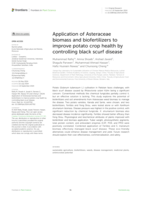 Application of Asteraceae biomass and biofertilizers to improve potato crop health by controlling black scurf disease