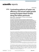 Contrasting patterns of water use efficiency and annual radial growth among European beech forests along the Italian peninsula