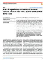 Partial asynchrony of coniferous forest carbon sources and sinks at the intra-annual time scale