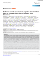 No Future Growth Enhancement Expected at the Northern Edge for European Beech due to Continued Water Limitation