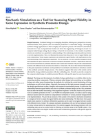 Stochastic simulations as a tool for assessing signal fidelity in gene expression in synthetic promoter design