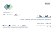 Julian Alps: Current Challenges and Future Prospects for Cooperation