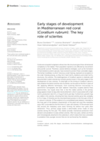 Early stages of development in Mediterranean red coral (Corallium rubrum): the key role of sclerites
