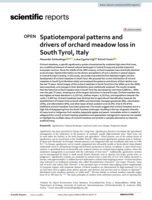 Spatiotemporal patterns and drivers of orchard meadow loss in South Tyrol, Italy