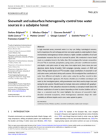Snowmelt and subsurface heterogeneity control tree water sources in a subalpine forest