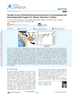 Flexible Screen-Printed Electrochemical Sensors Functionalized with Electrodeposited Copper for Nitrate Detection in Water
