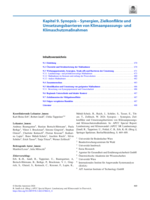 Kapitel 9. Synopsis – Synergien, Zielkonflikte und Umsetzungsbarrieren von Klimaanpassungs- und Klimaschutzmaßnahmen