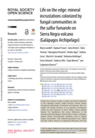 Life on the edge: Mineral incrustations colonized by fungal communities in the sulfur fumarole on Sierra Negra volcano (Galápagos Archipelago)