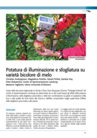 Potatura di illuminazione e sfogliatura su varietà bicolore di melo